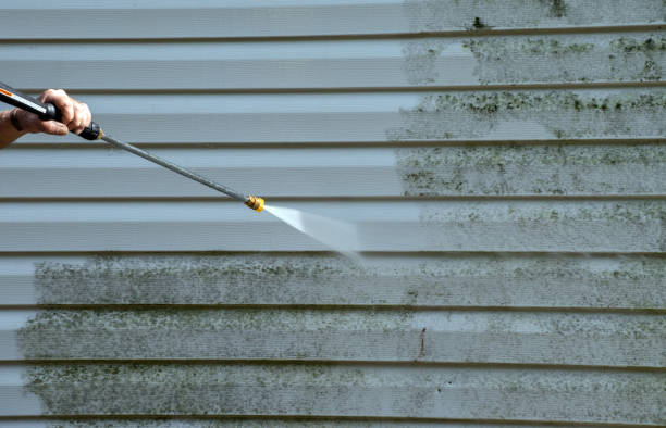 Best Residential Exterior Washing  in North Hartsville, SC